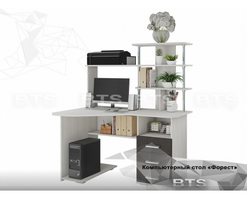 Стол компьютерный ''Форест''